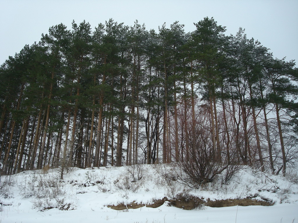 DSC08053.JPG