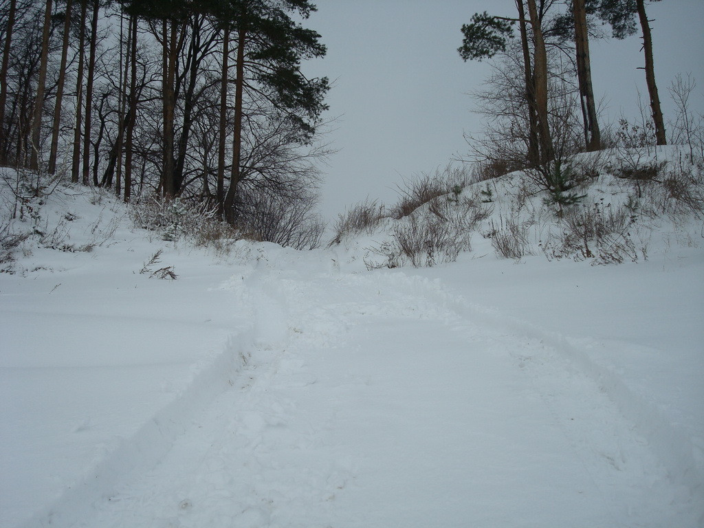 DSC08056.JPG