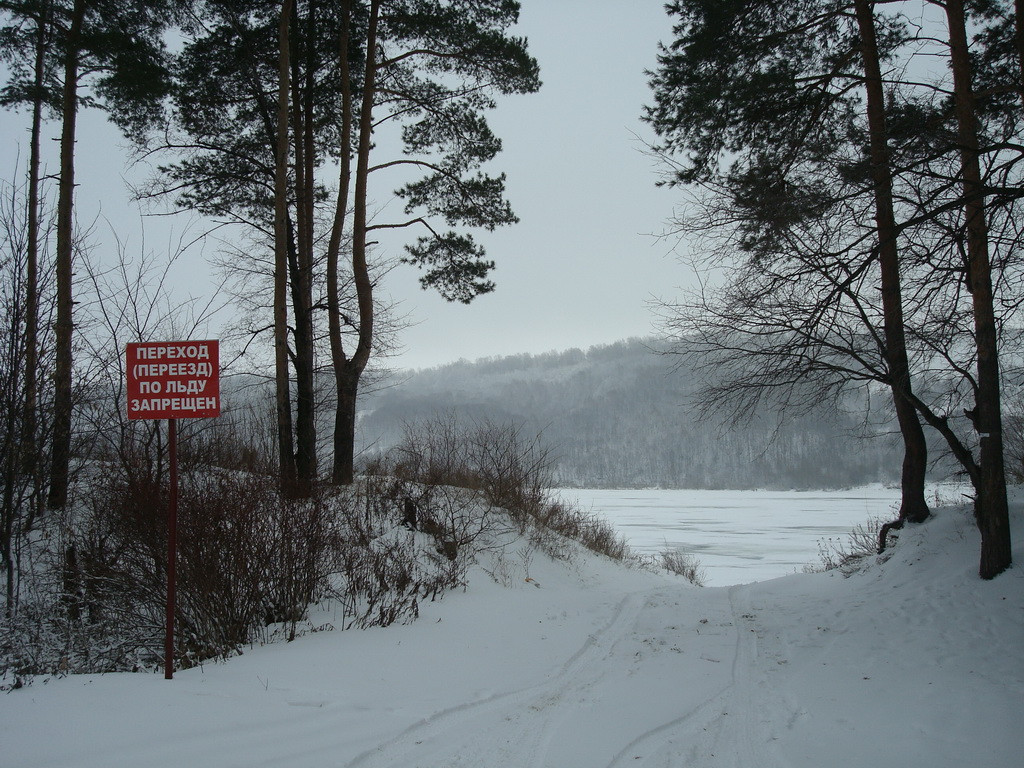 DSC08059.JPG