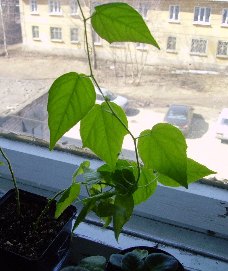 09.04.2010 13:09:31