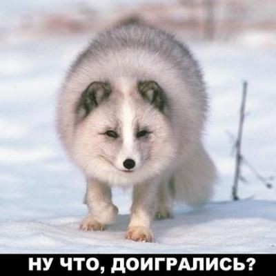 Писец