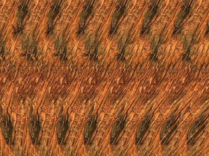 stereogram_0003.jpg