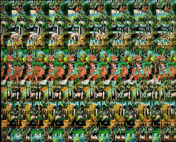 stereogram_me2.jpg