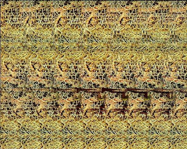 stereogram_me7.jpg