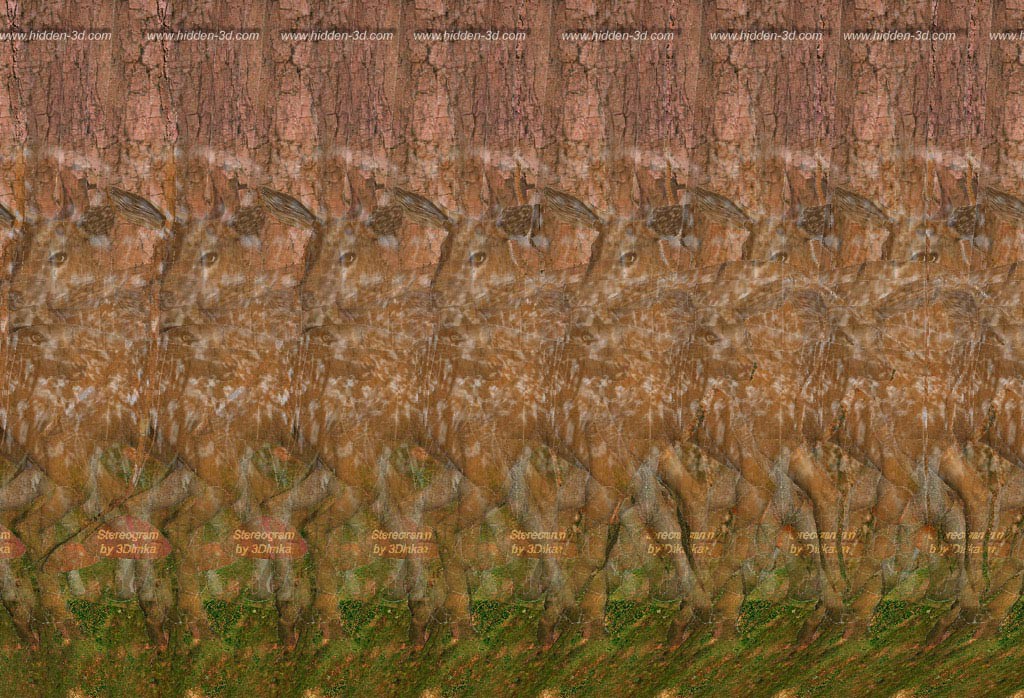 3Dimka_Forest_Stereogram.jpg