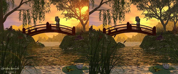 3dpar61.jpg
