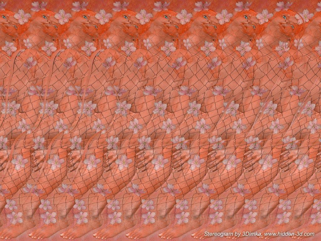 3339_eroticheskaya-stereogramma.jpg