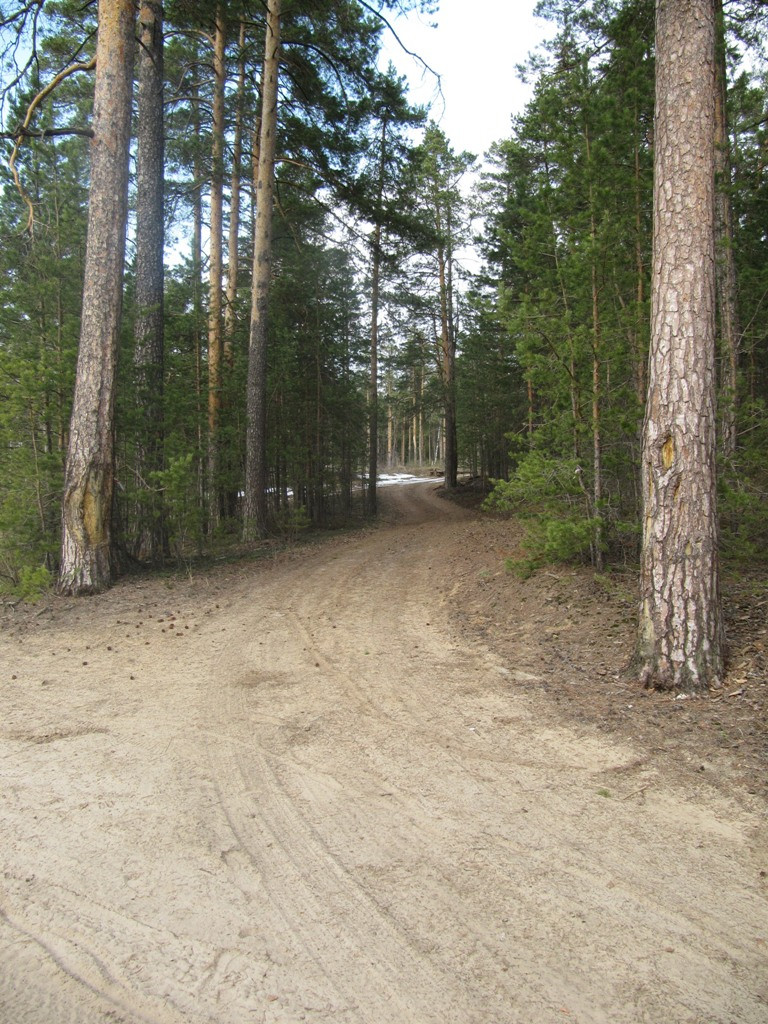 11.04.2010 23:52:42