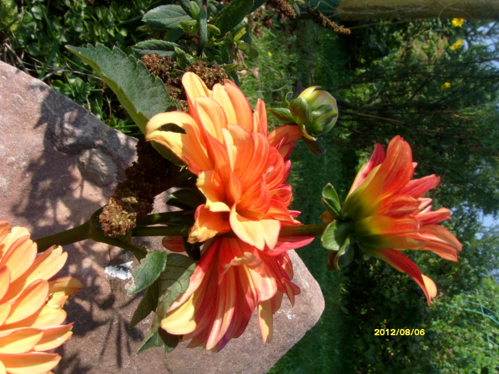 S73R2836.JPG