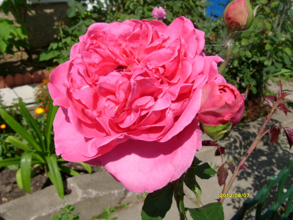 S73R2894.JPG
