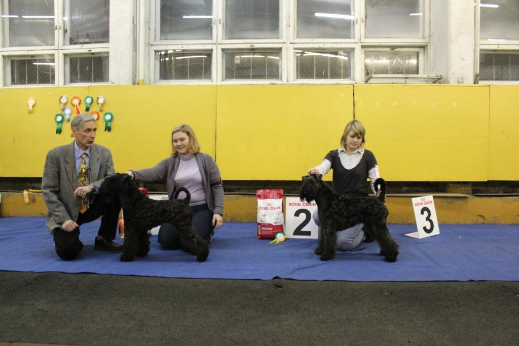 2012_12_16_6201.JPG