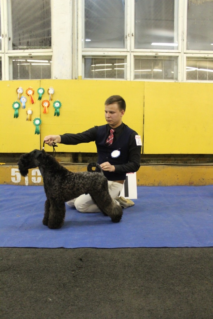 2012_12_16_6230.JPG