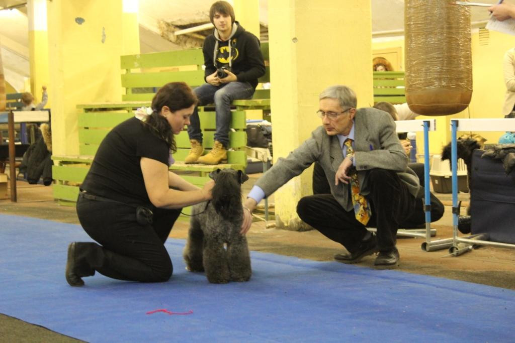 2012_12_16_6240.JPG