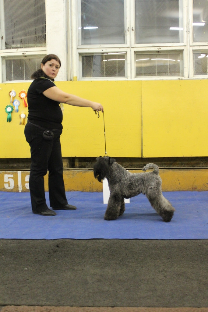 2012_12_16_6244.JPG