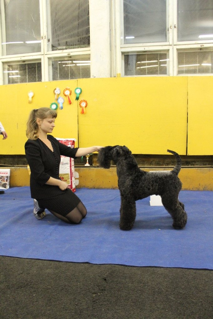 2012_12_16_6274.JPG