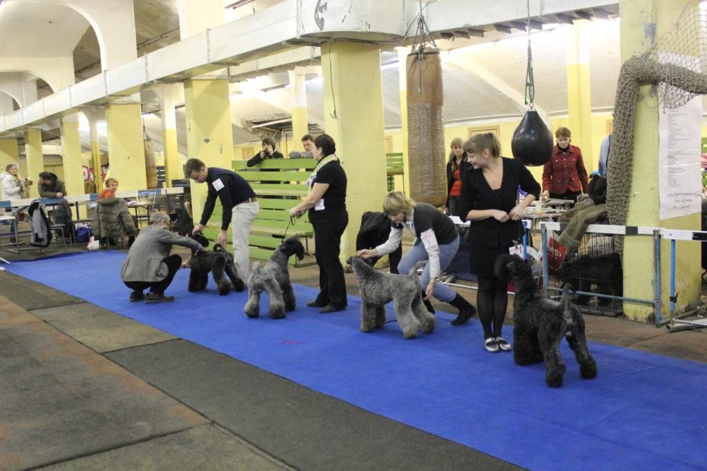 2012_12_16_6278.JPG