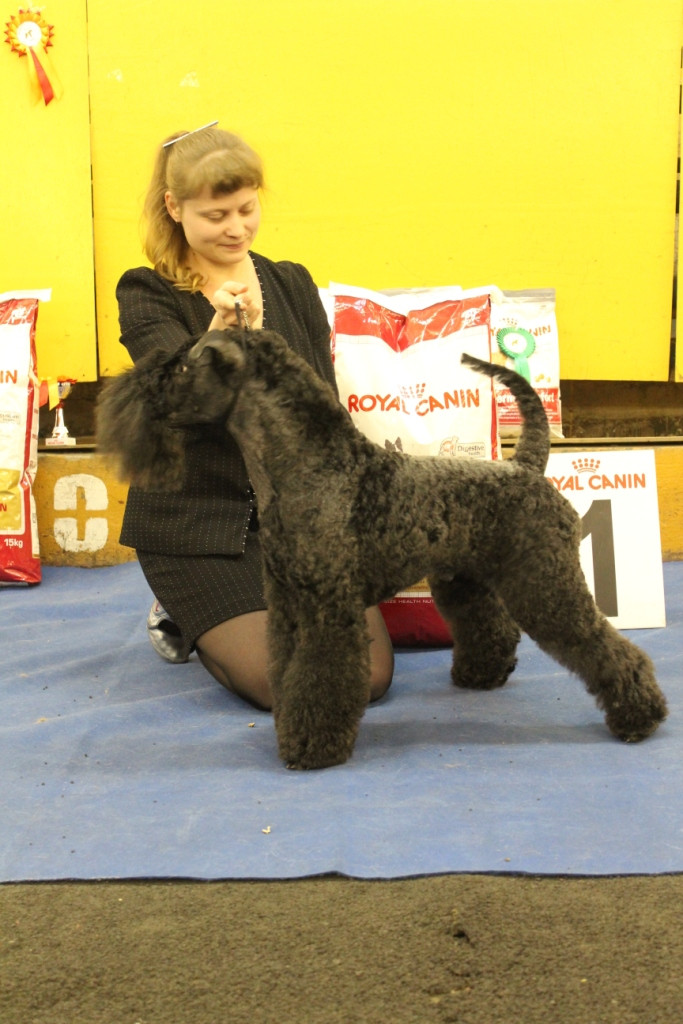 2012_12_16_6308.JPG