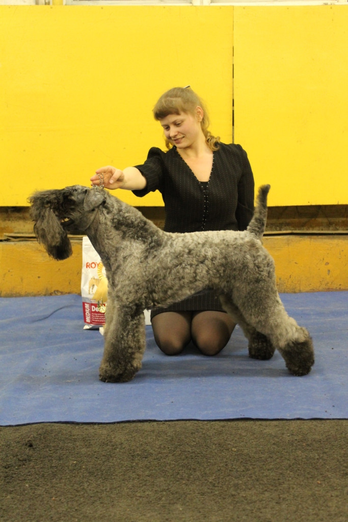 2012_12_16_6427.JPG