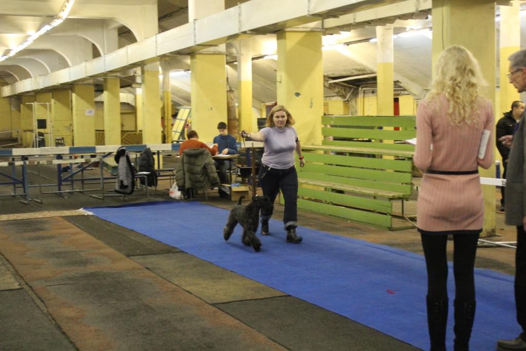 2012_12_16_6435.JPG
