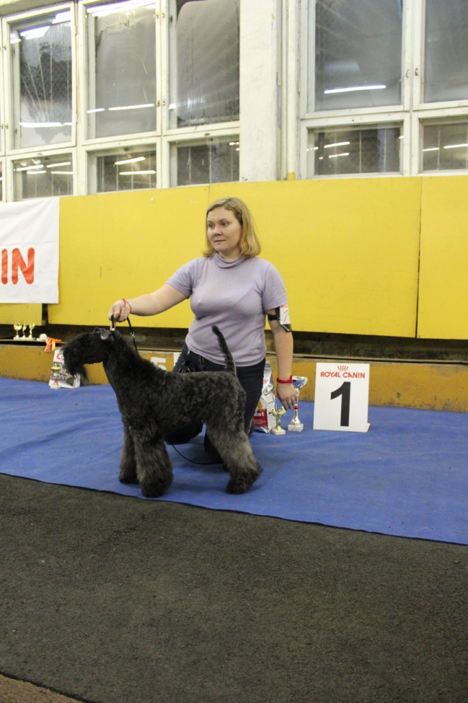 2012_12_16_6444.JPG
