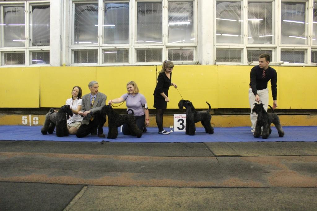 2012_12_16_6471.JPG