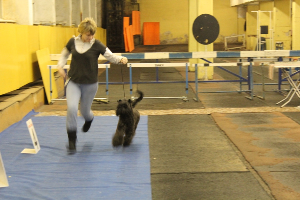 2012_12_16_6161.JPG
