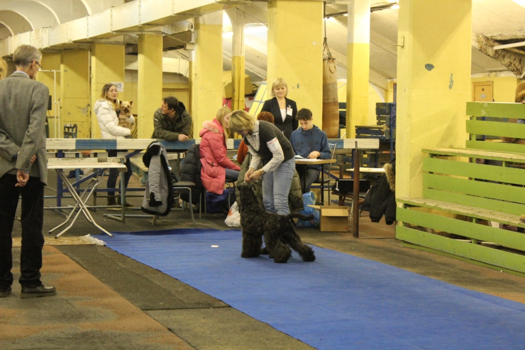 2012_12_16_6171.JPG