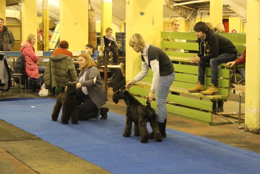 2012_12_16_6176.JPG