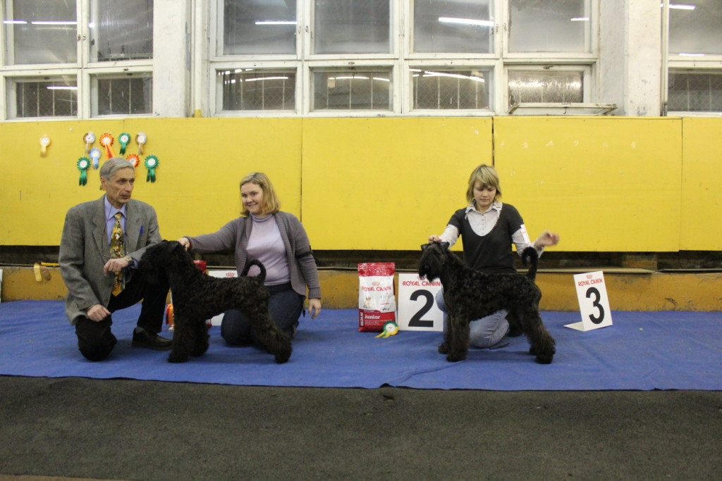 2012_12_16_6200.JPG