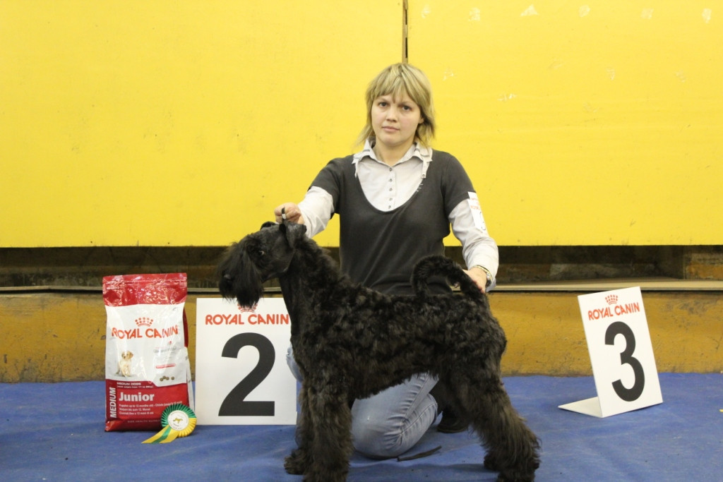 2012_12_16_6204.JPG
