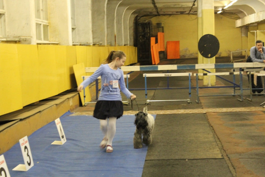 2012_12_16_6315.JPG