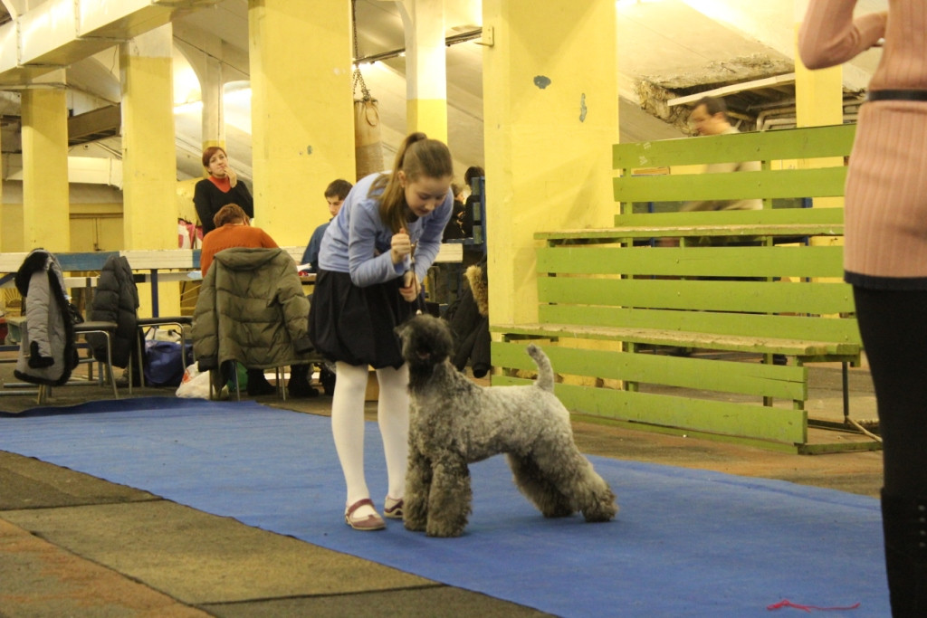 2012_12_16_6320.JPG