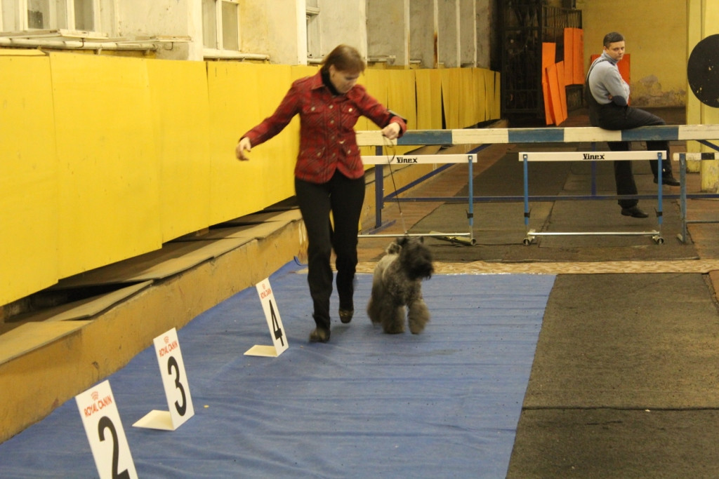 2012_12_16_6330.JPG