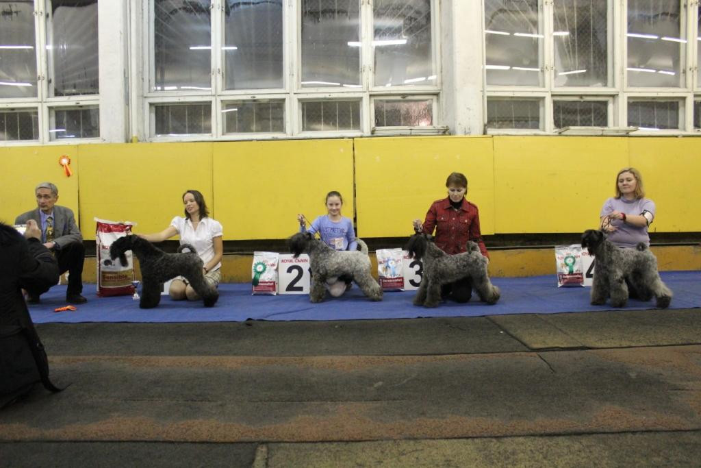 2012_12_16_6404.JPG