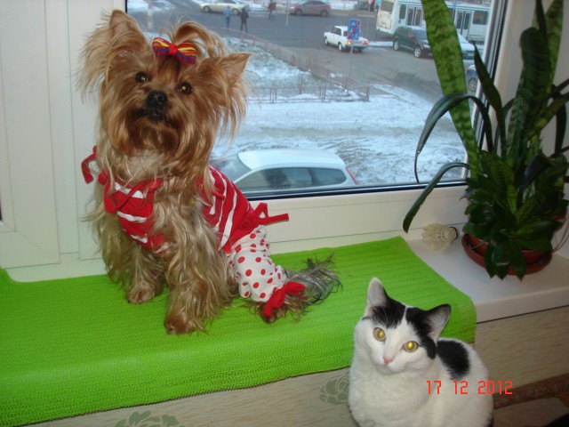 18.12.2012 22:27:29