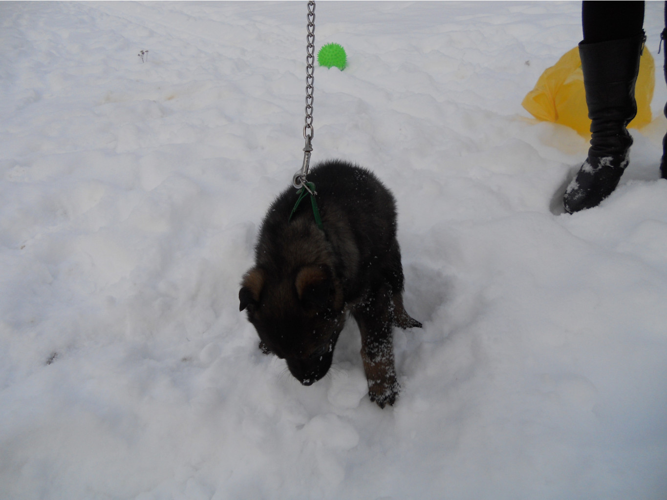 DSCN0219.jpg
