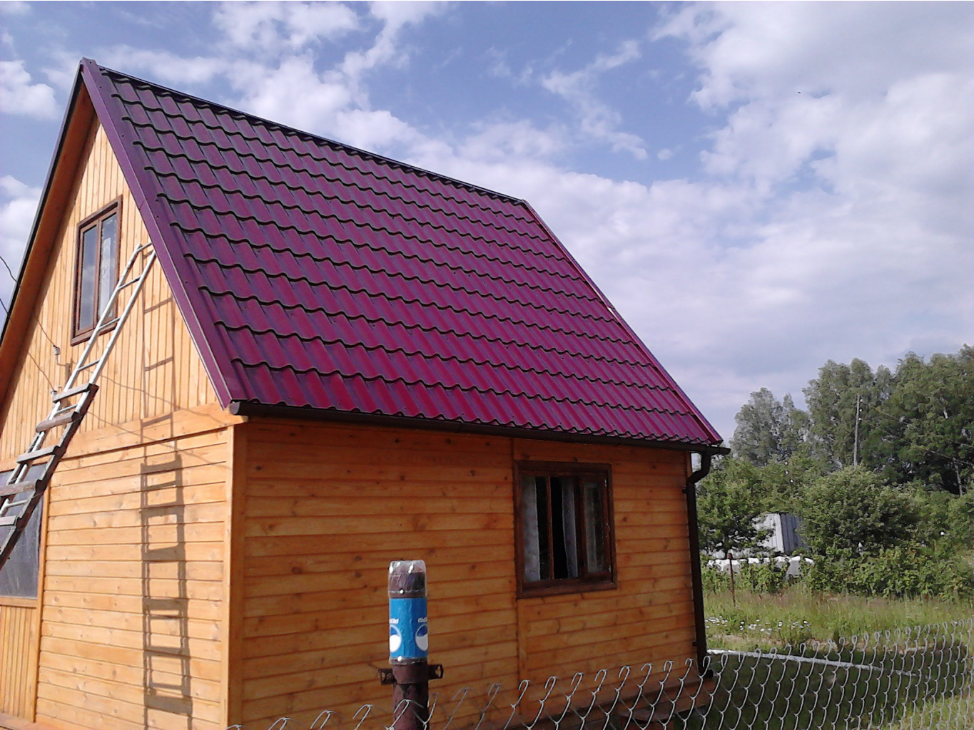 P280611_16.34.jpg