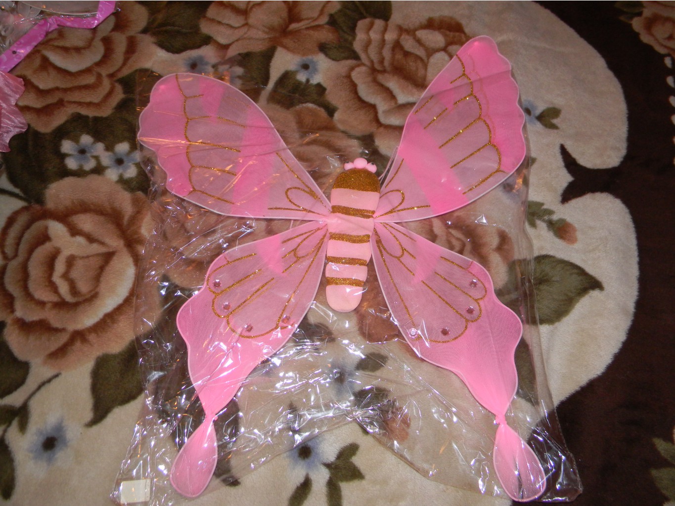 DSCN3173.JPG