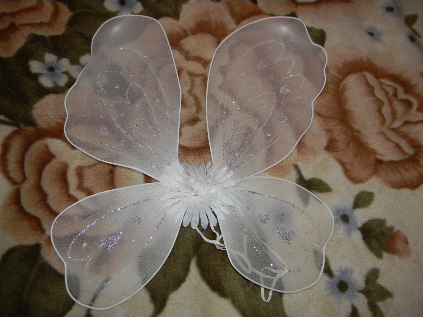 DSCN3175.JPG