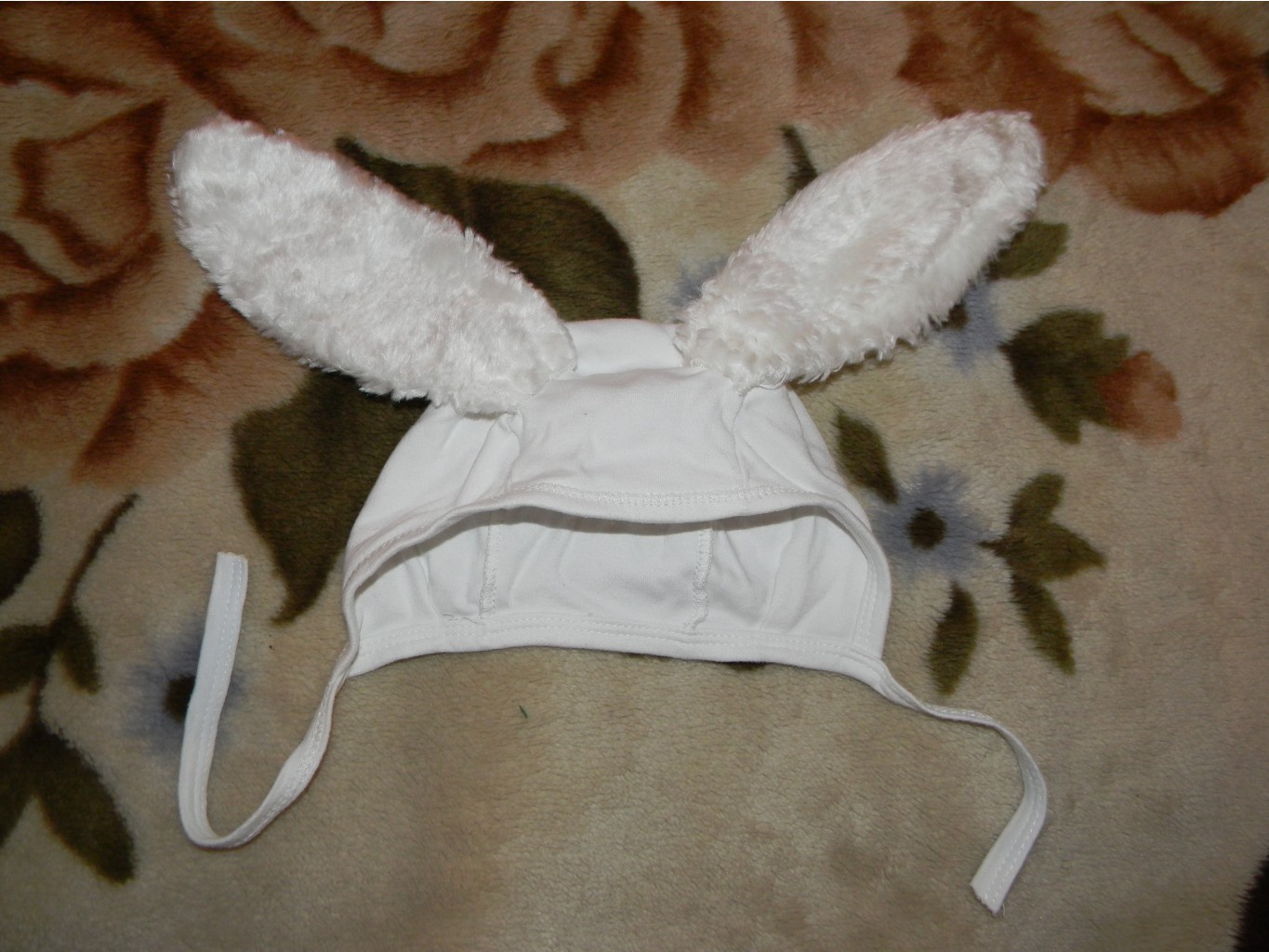 DSCN3177.JPG