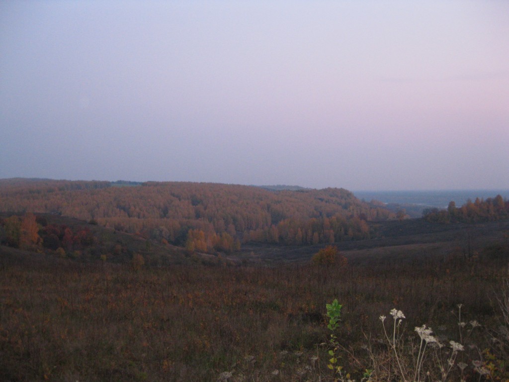 IMG_0235.JPG