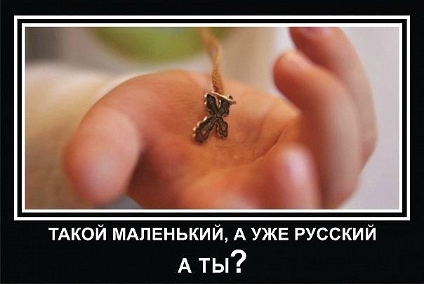 getImage (12).jpg