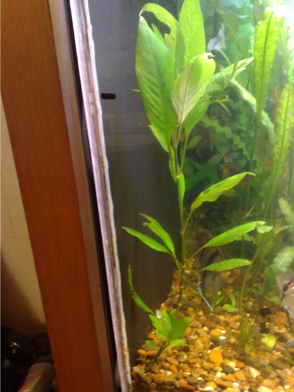 19.04.2010 22:06:08