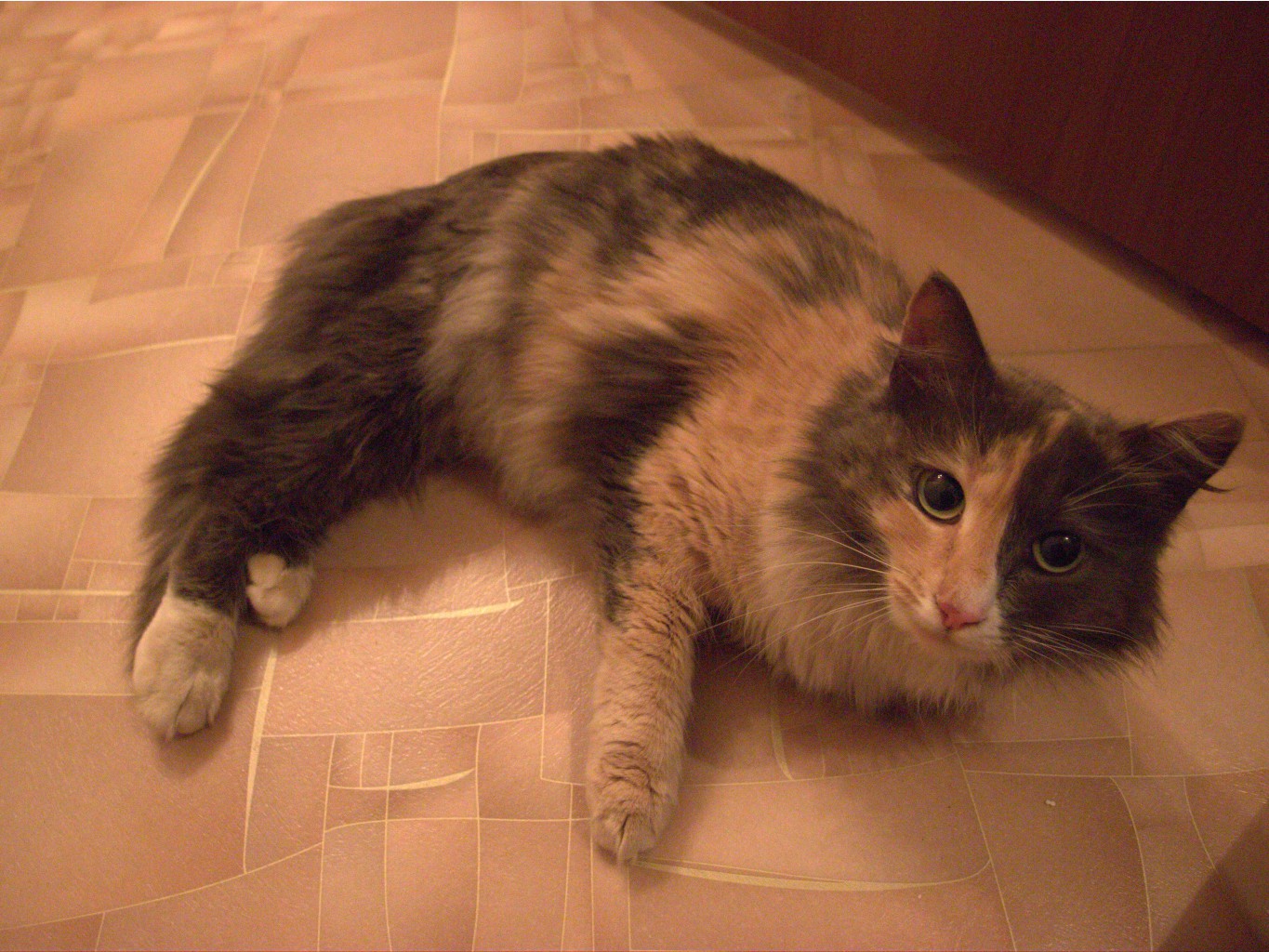 21.12.2012 22:47:31