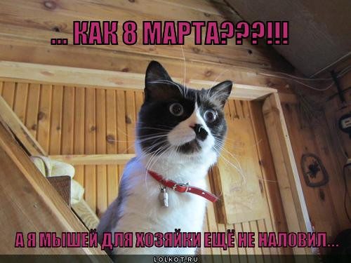 kak-8-marta_1330230807.jpg
