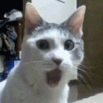 2z5r4v7.gif