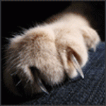 14d41a18784b.gif