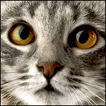 31c75e701134.gif