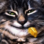 77d0bac93ed1.gif