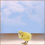 12281gif_2811257_1779940.gif